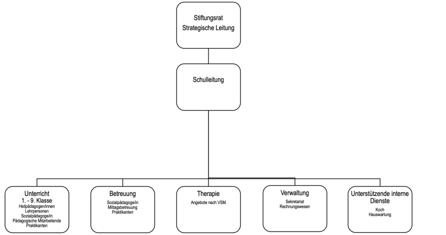 Organisation